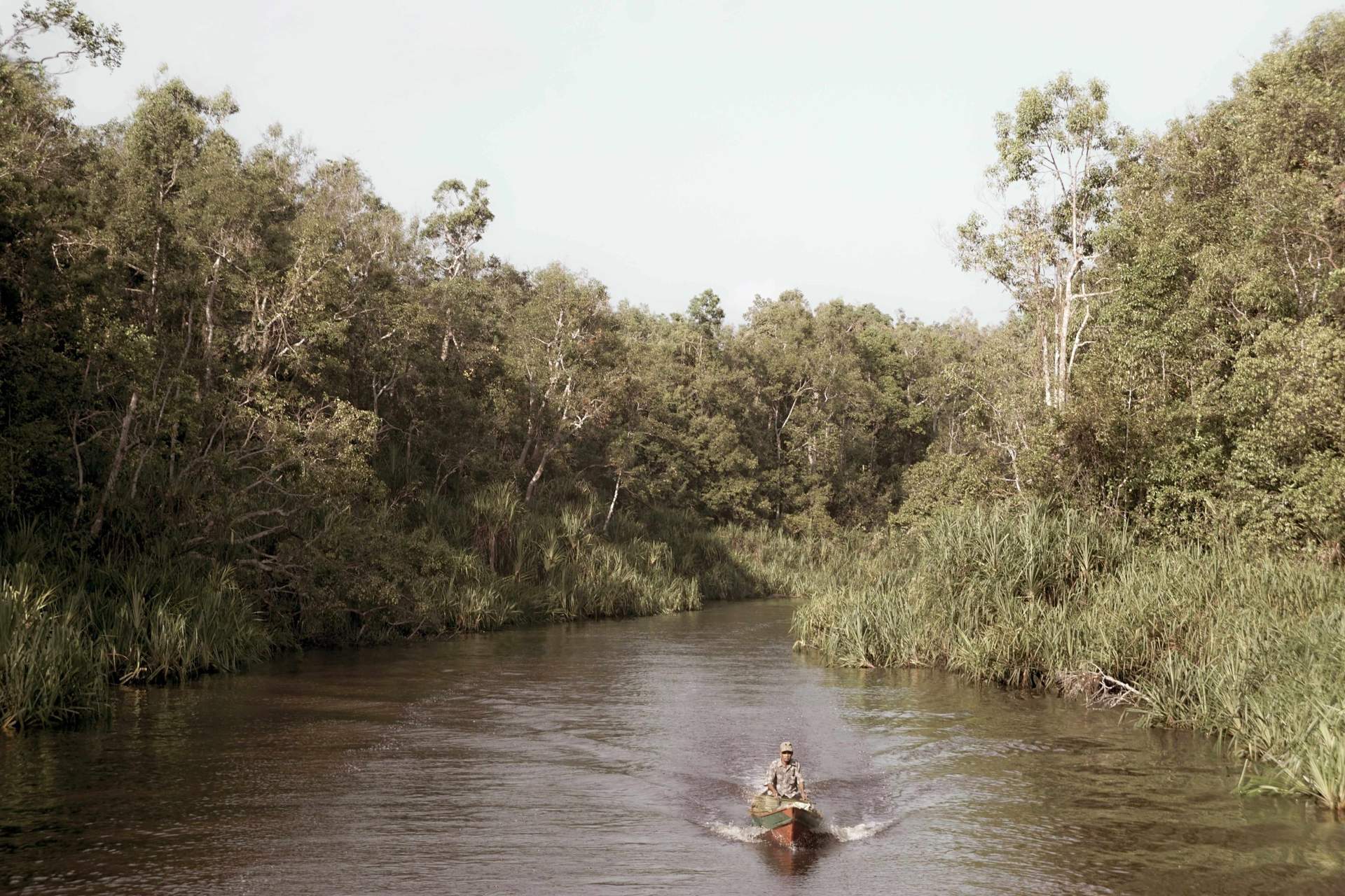 Cambodia travel guides: Expert Tips, Top Experiences & Local Insights