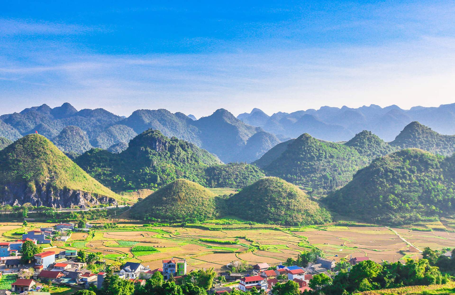 When is the Best Time to Visit Vietnam?