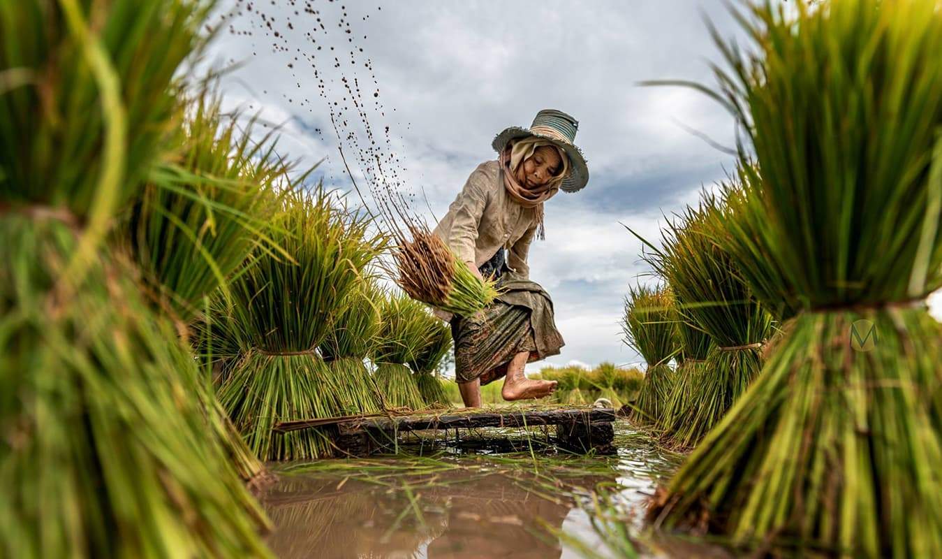 When Is The Best Time To Visit Thailand?