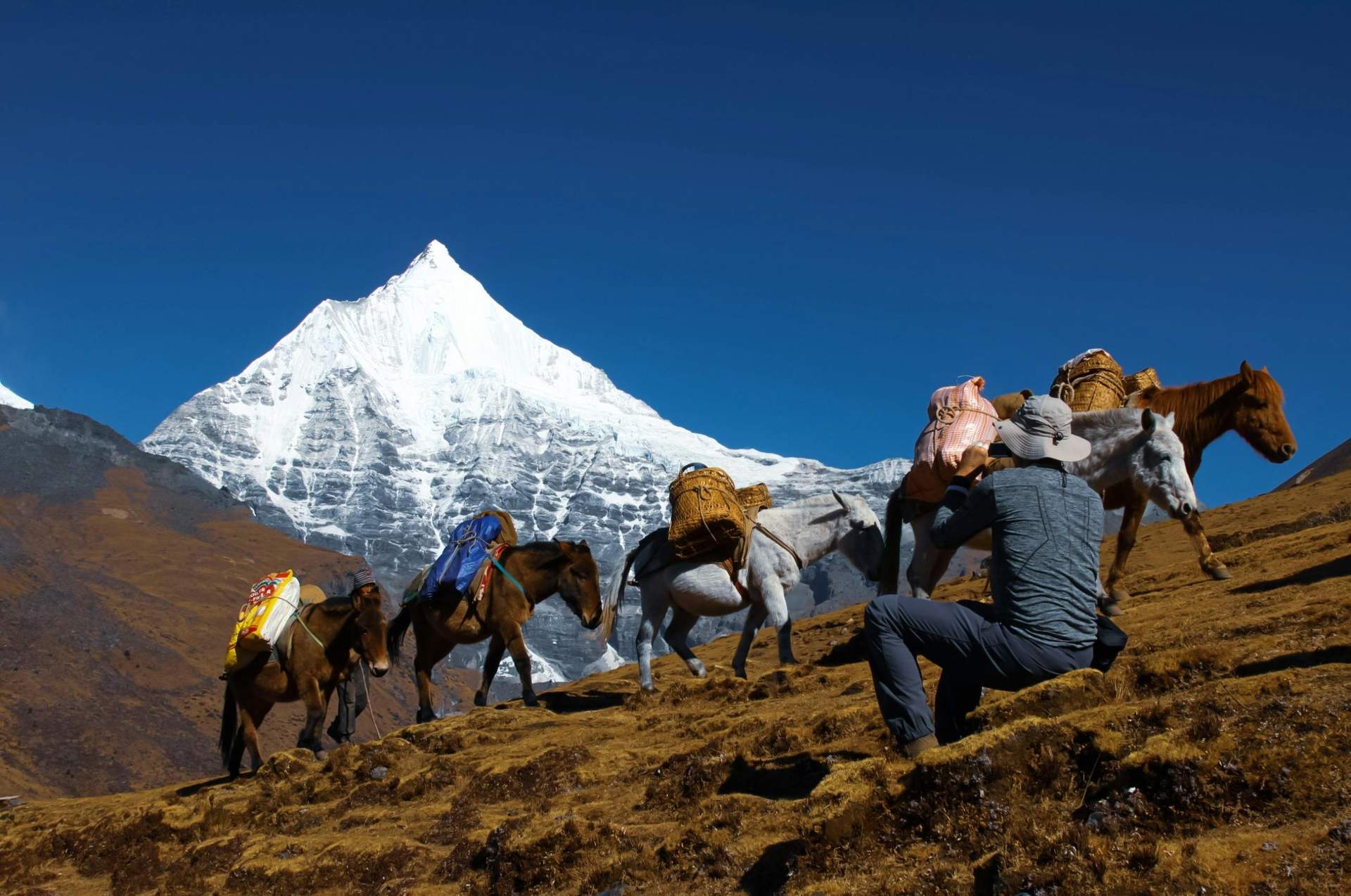 Things to do in Bhutan