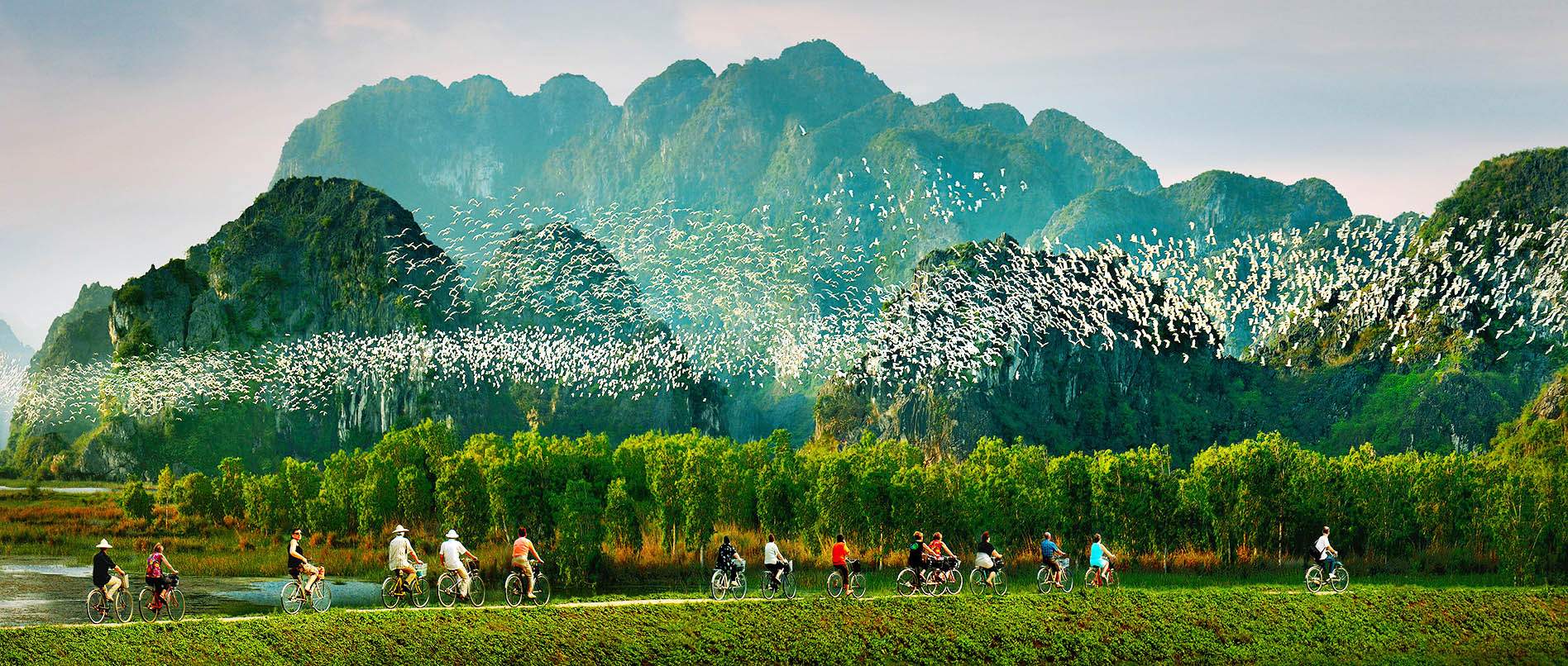 Vietnam Tours