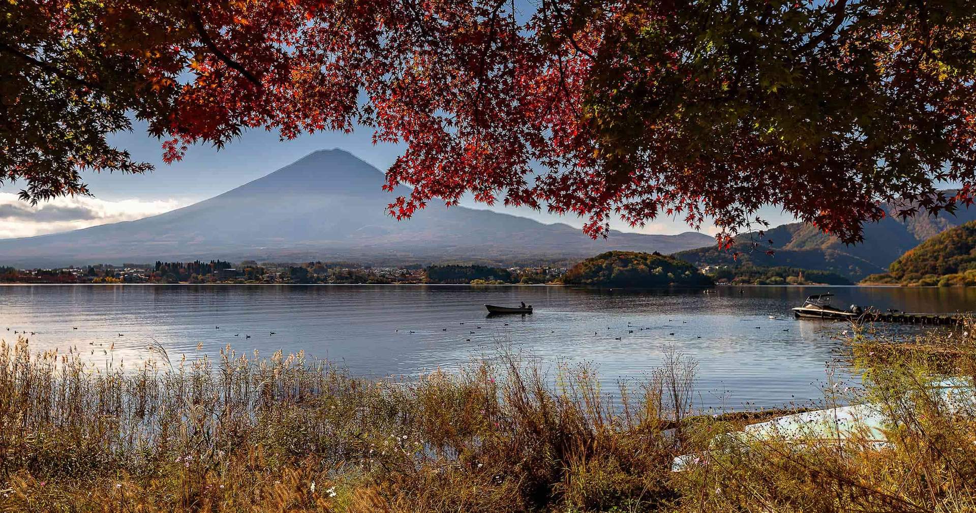 When is the best time to visit Japan?