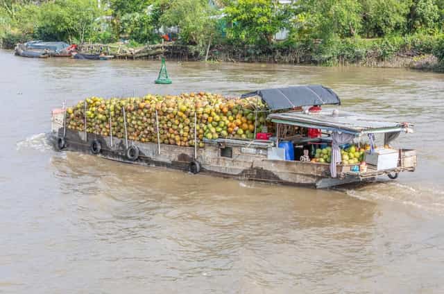 Vinh Long