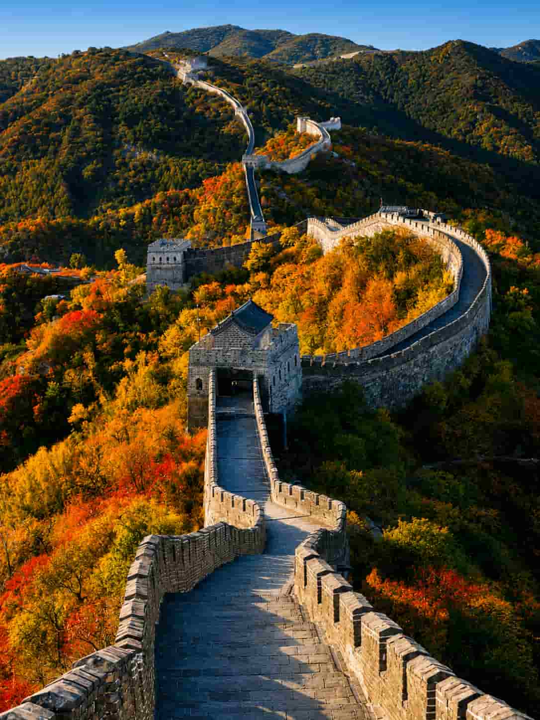 Best of Japan & China